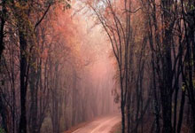 天涯论坛删贴风波：网友热议背后的真相揭秘！