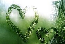 天涯论坛刷屏的十大神贴,这些年都让我热血沸腾!