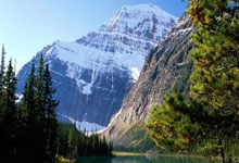 天涯论坛十大神贴回顾：那些让你刷屏的经典回忆！