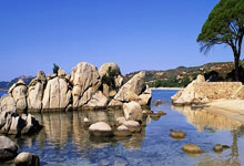 天涯论坛删贴风波：网友热议背后的真相揭秘！